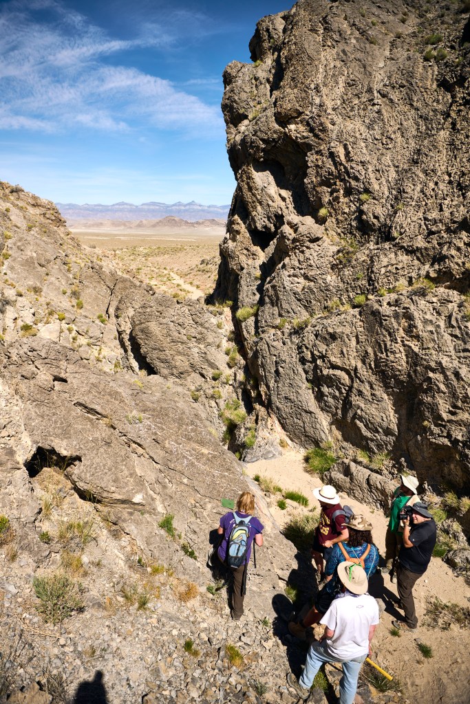 Devonian Paleontology Utah House Range